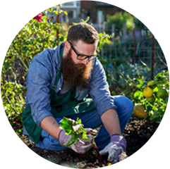 Pěstování v půdním substrátu