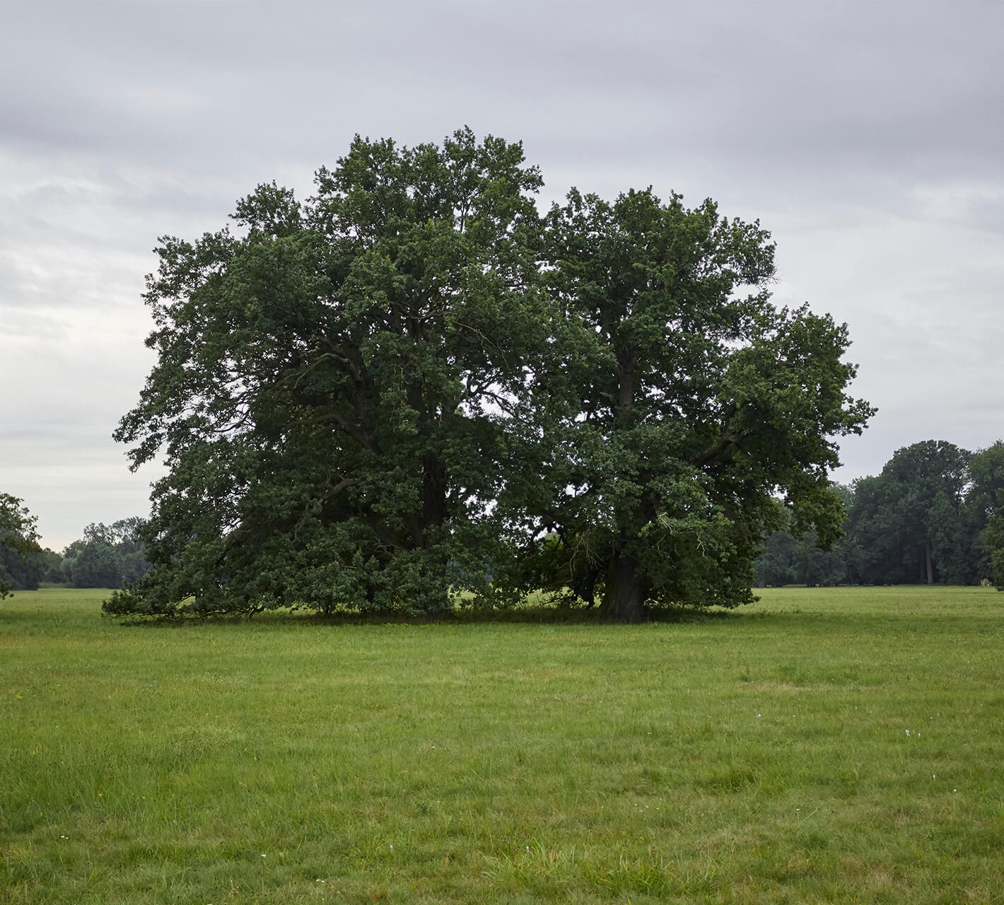 Private apartment, Czech Republic