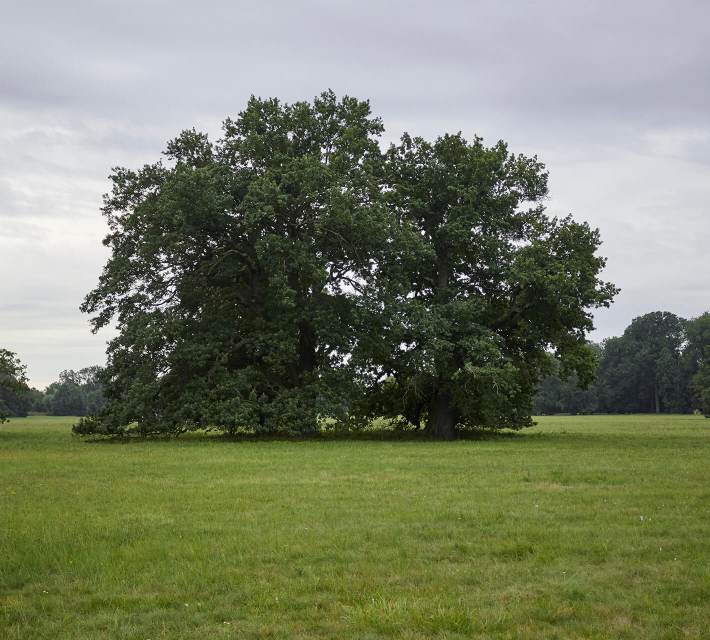 In harmony with nature